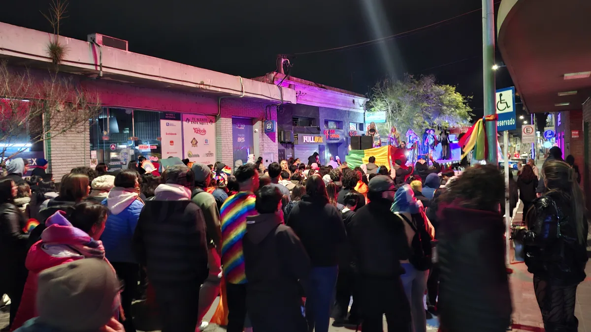 Imagen 1 de la galería