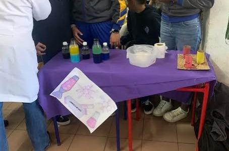 Imagen 2 de la galería