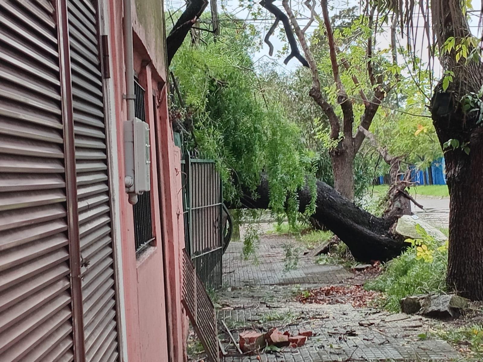 Imagen 5 de la galería