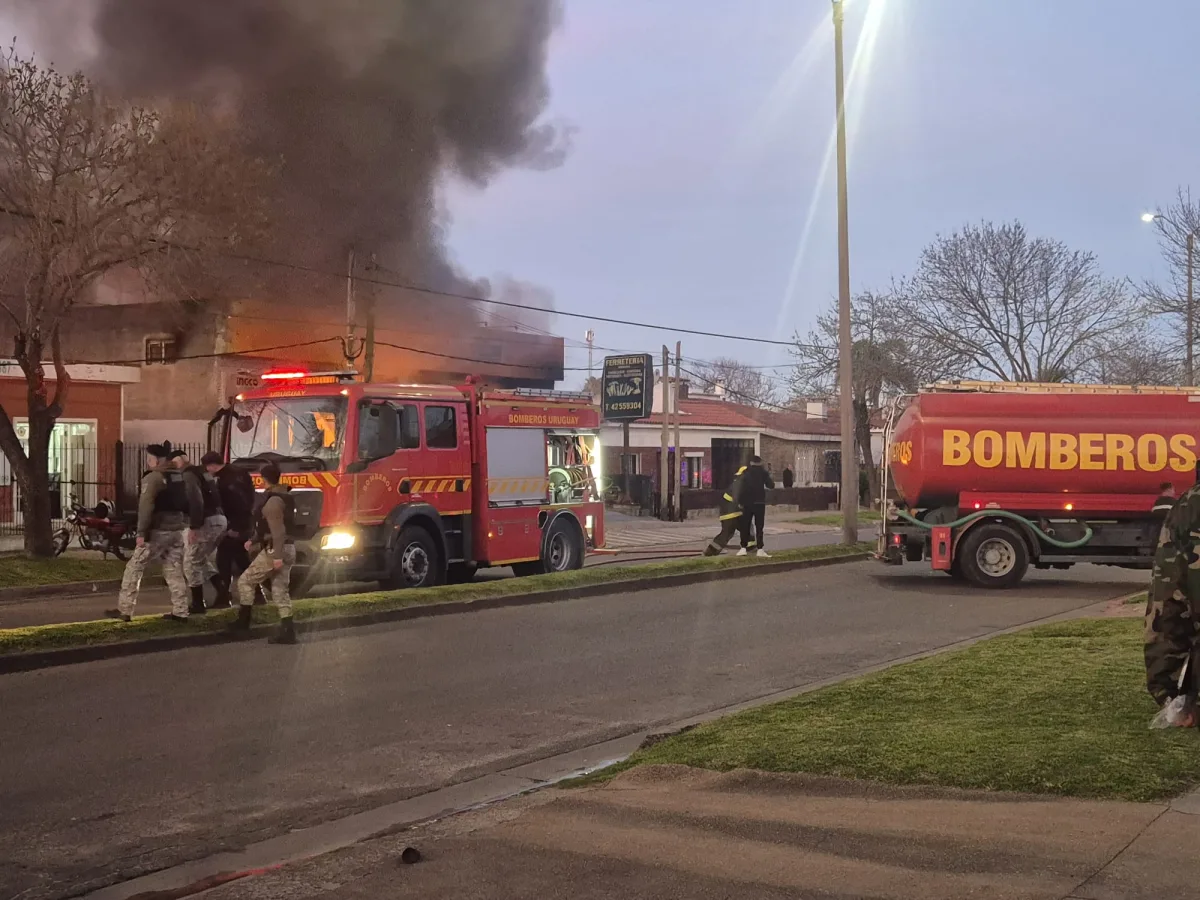 Imagen 2 de la galería