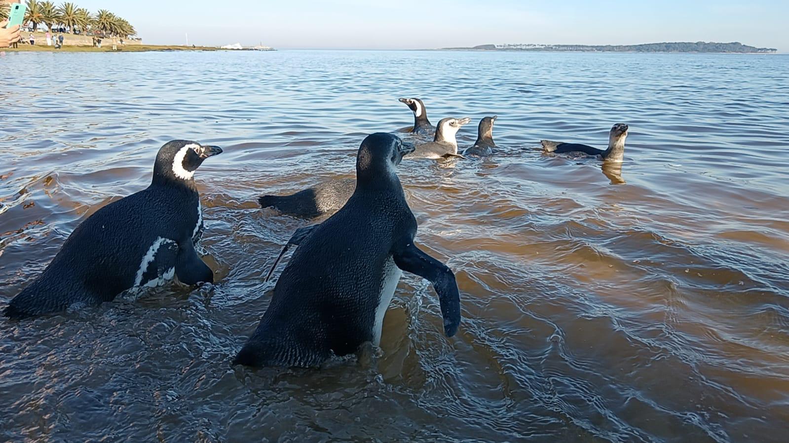 Imagen 2 de la galería