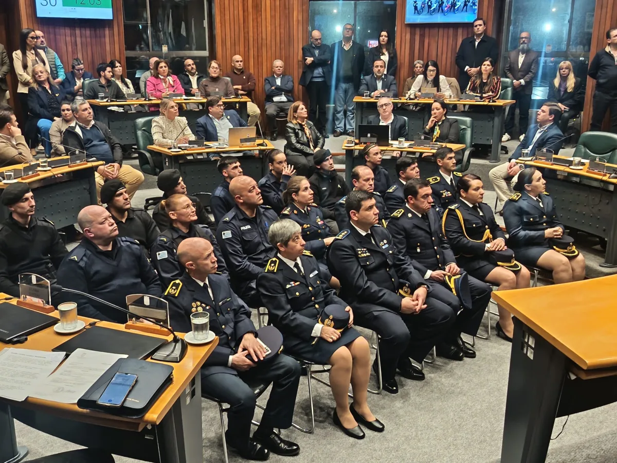 Imagen 2 de la galería