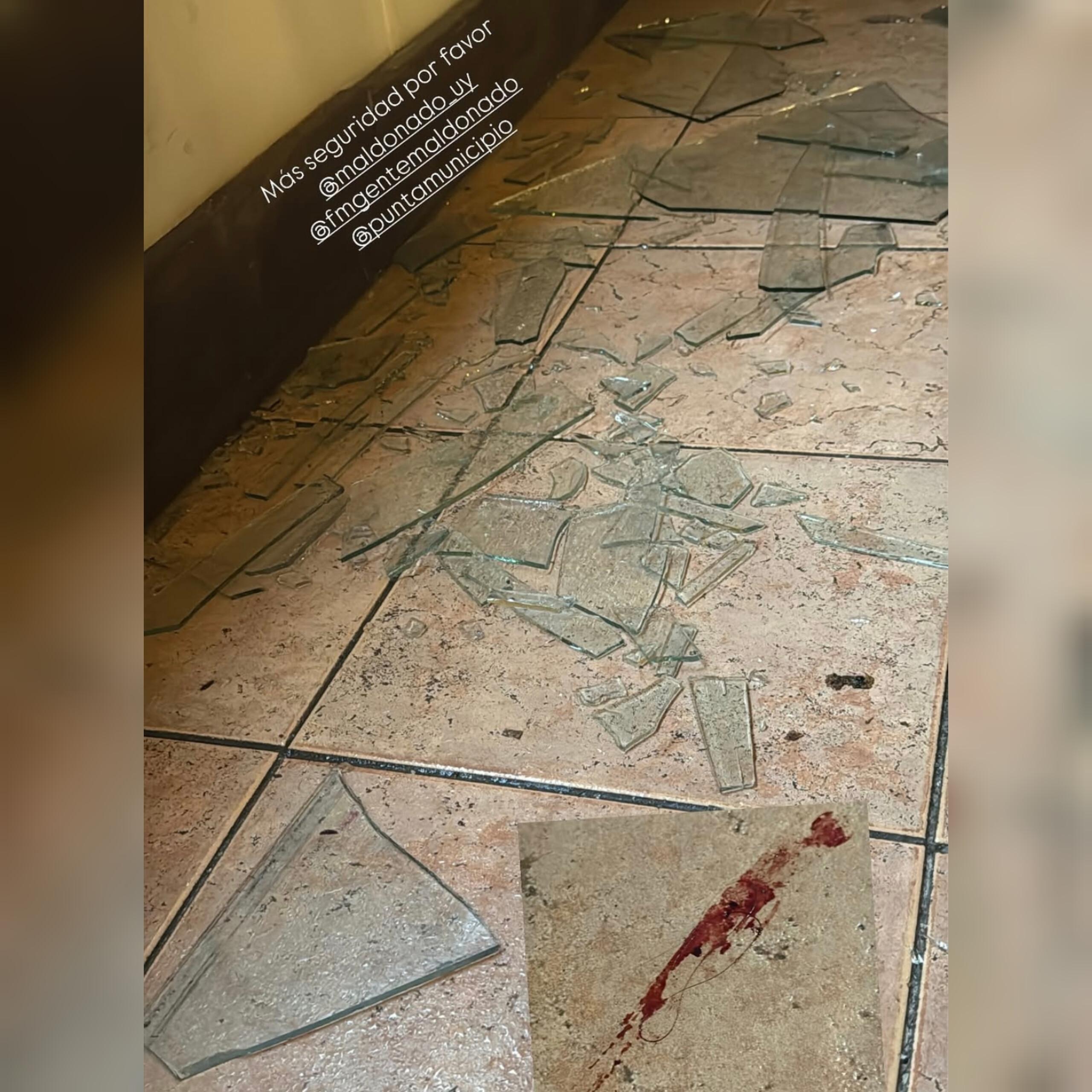 Imagen 2 de la galería