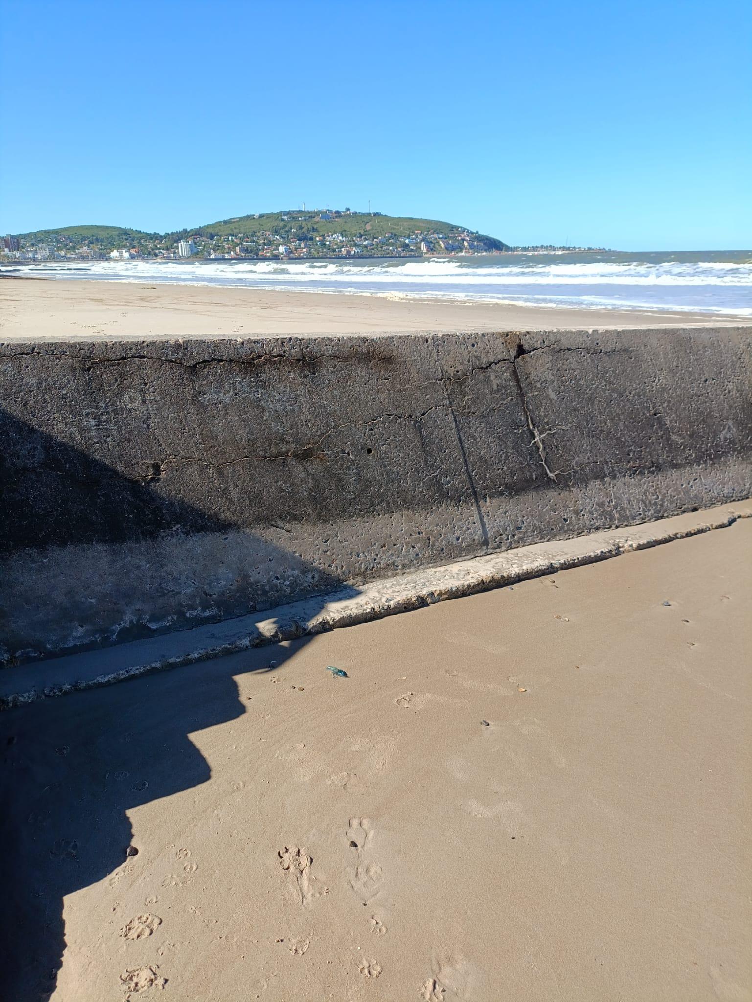 Imagen 2 de la galería