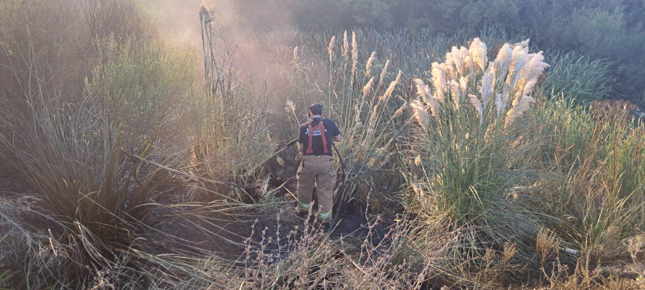 Imagen 2 de la galería