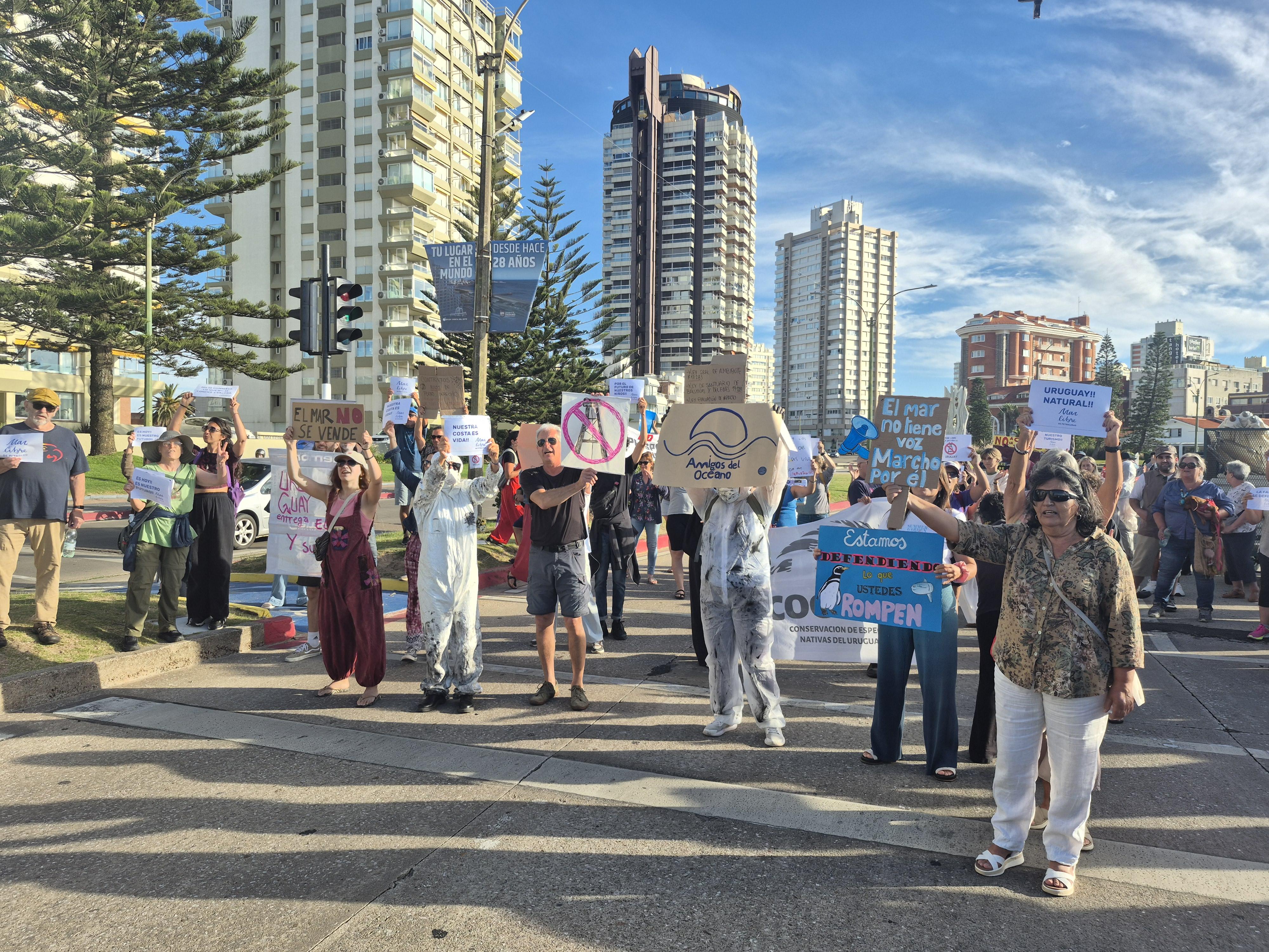 Imagen 5 de la galería