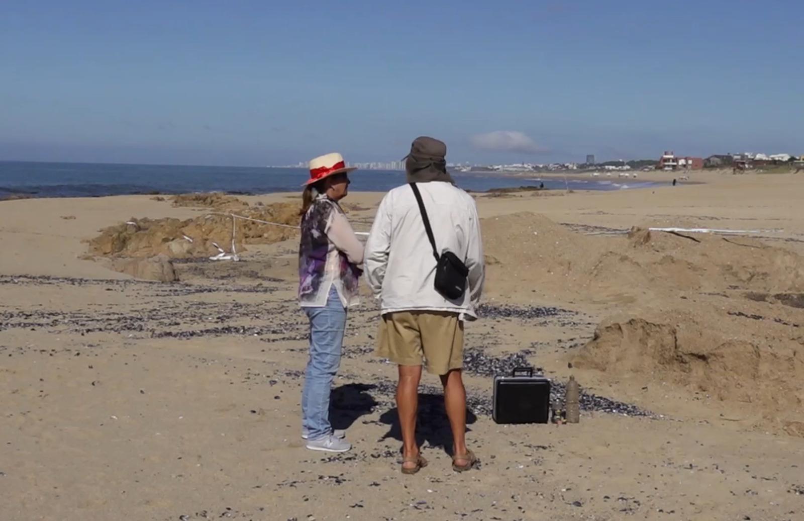 Imagen 3 de la galería