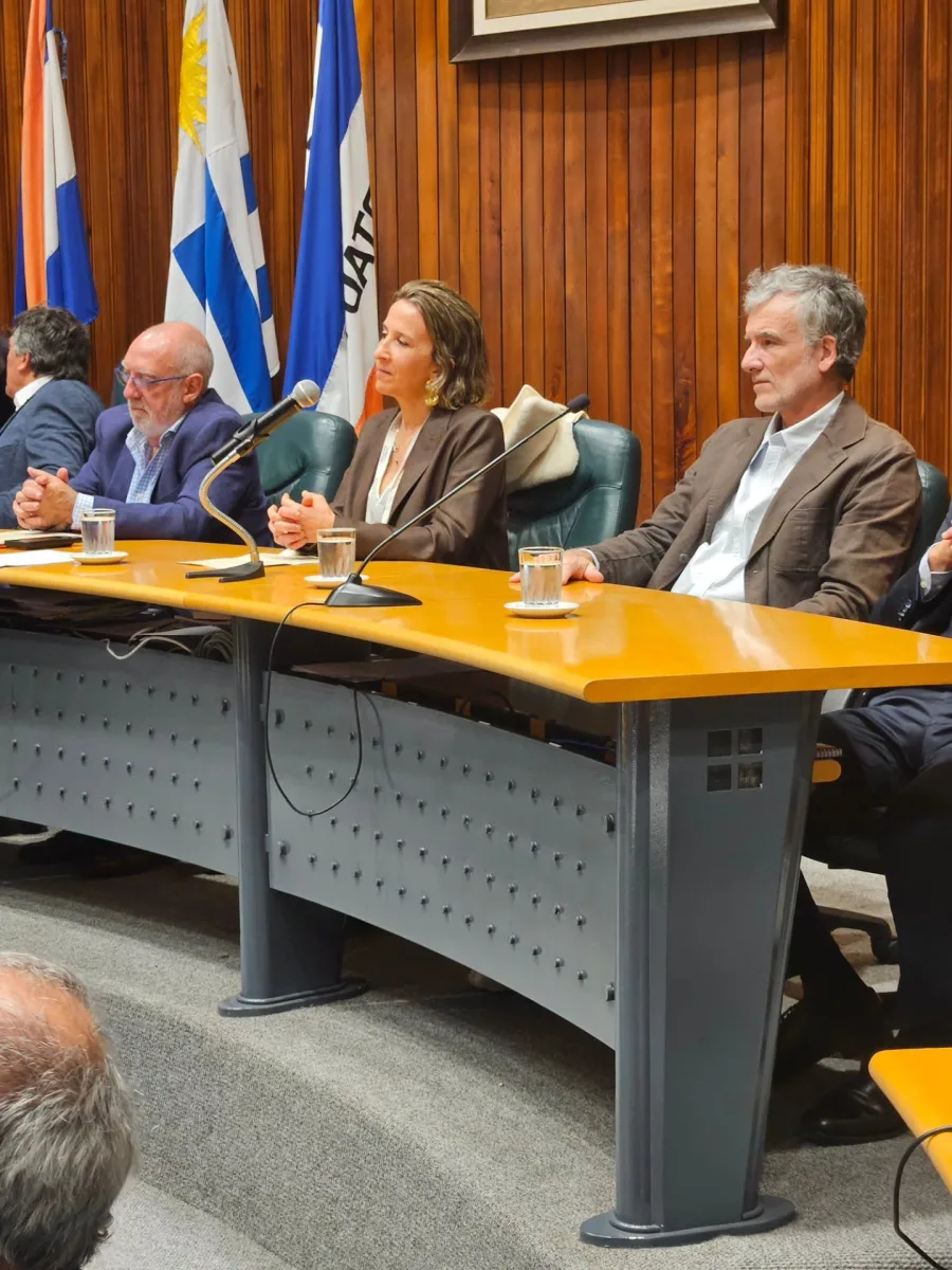 Imagen 1 de la galería