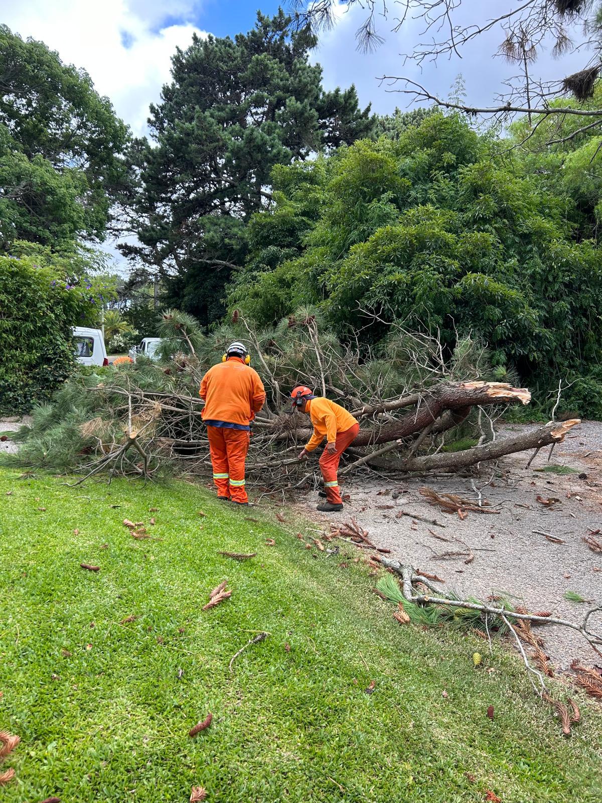 Imagen 3 de la galería