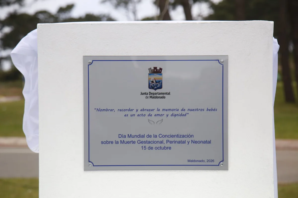 Imagen 1 de la galería