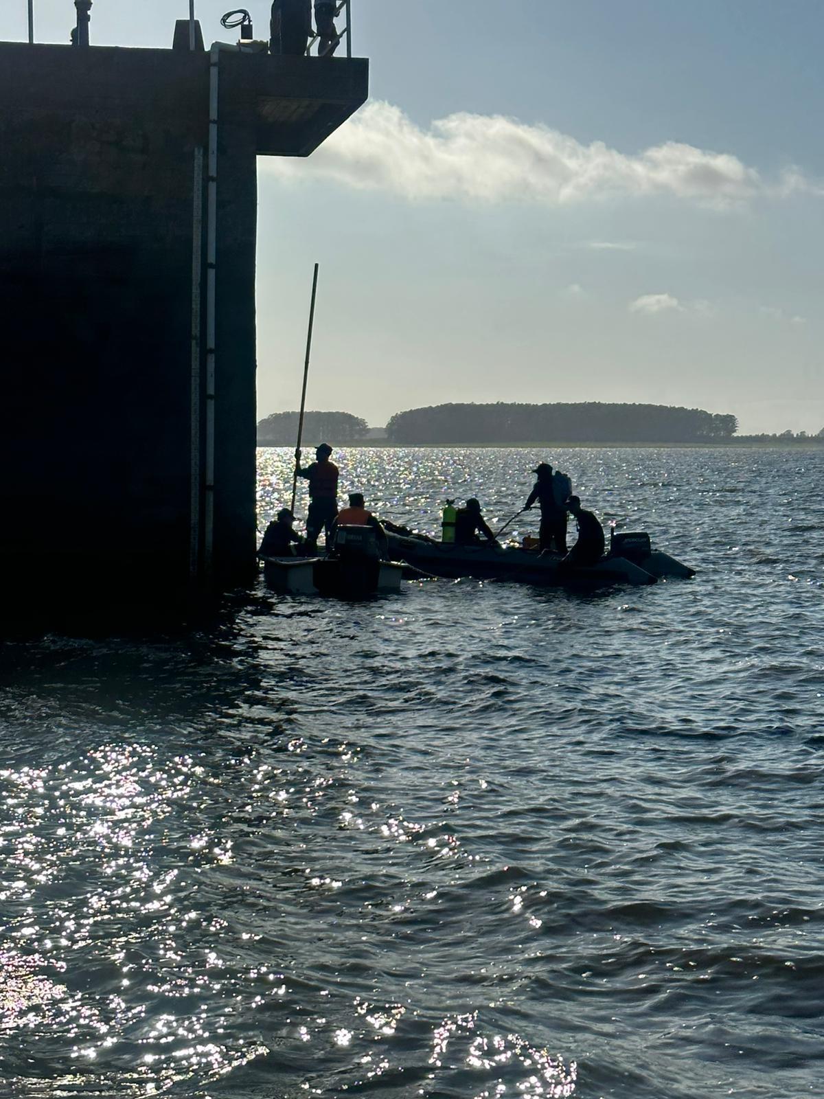 Imagen 5 de la galería