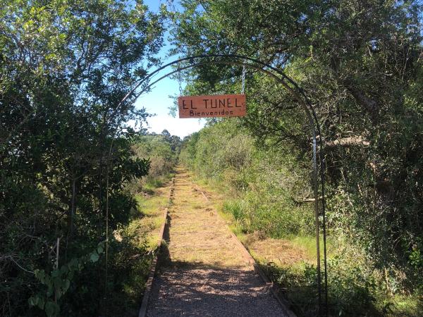 Imagen 3 de la galería