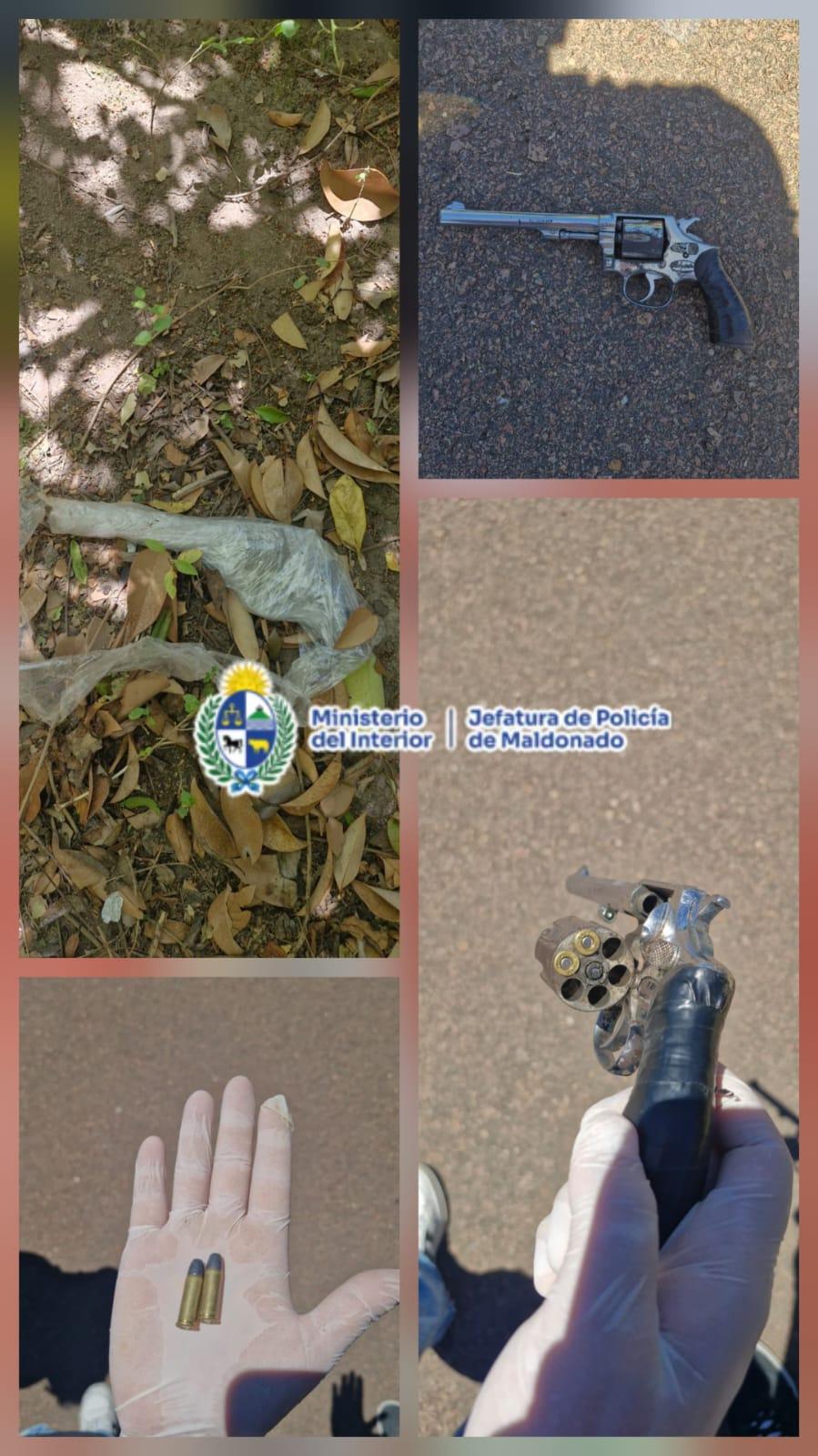 Imagen 1 de la galería