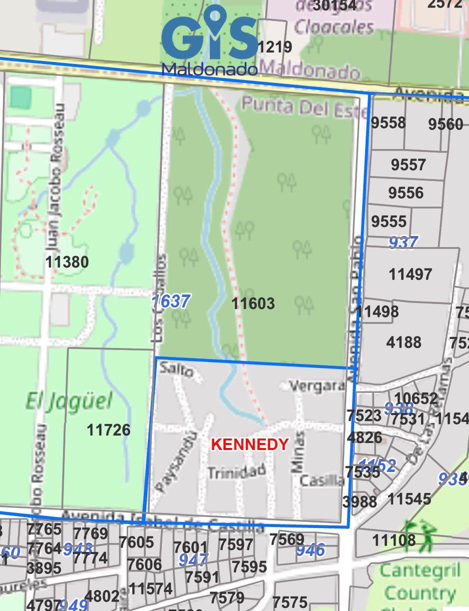 Imagen 1 de la galería