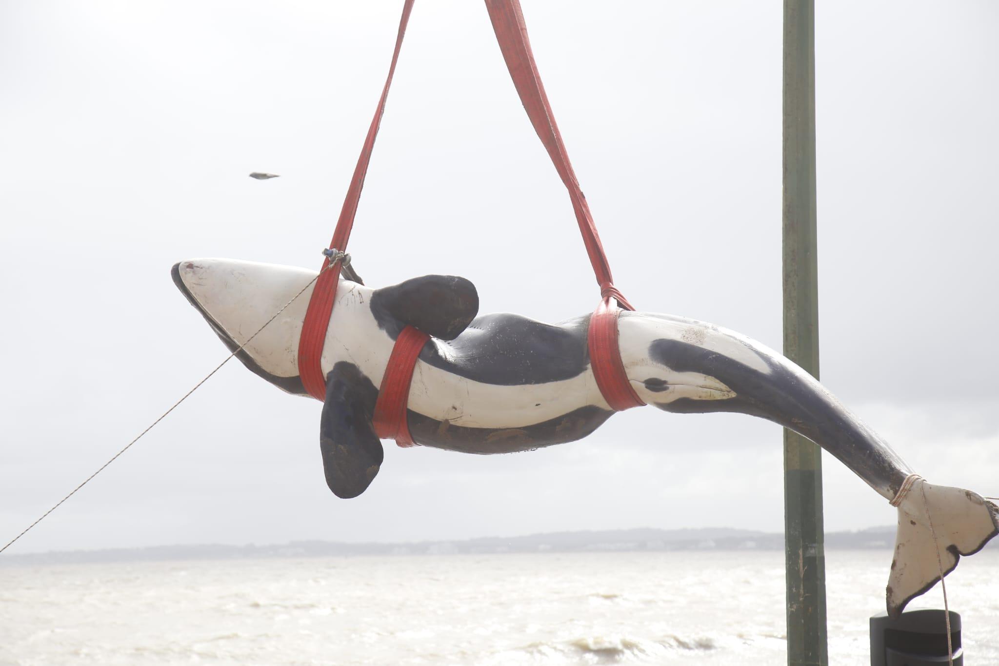 Imagen 3 de la galería