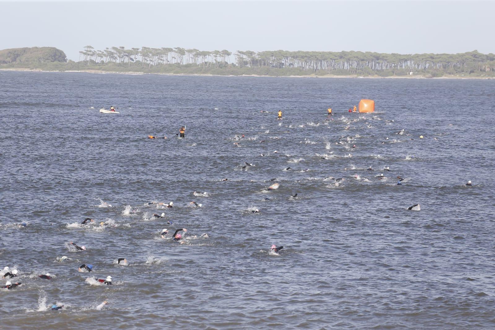 Imagen 2 de la galería