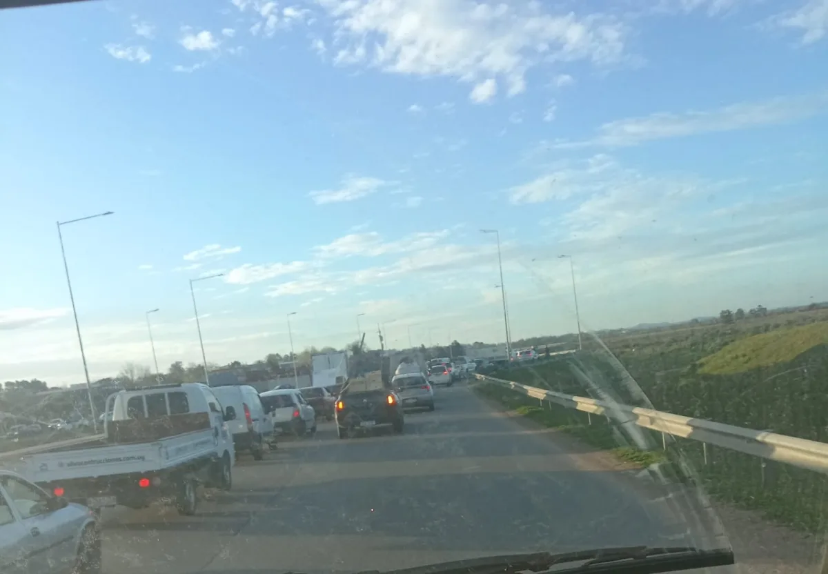 Imagen 1 de la galería