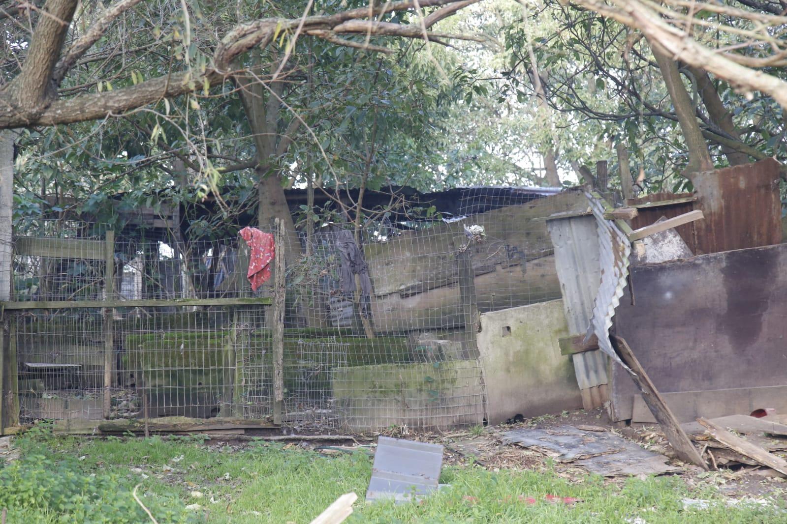 Imagen 7 de la galería