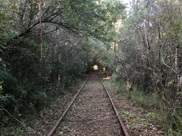 Imagen 4 de la galería