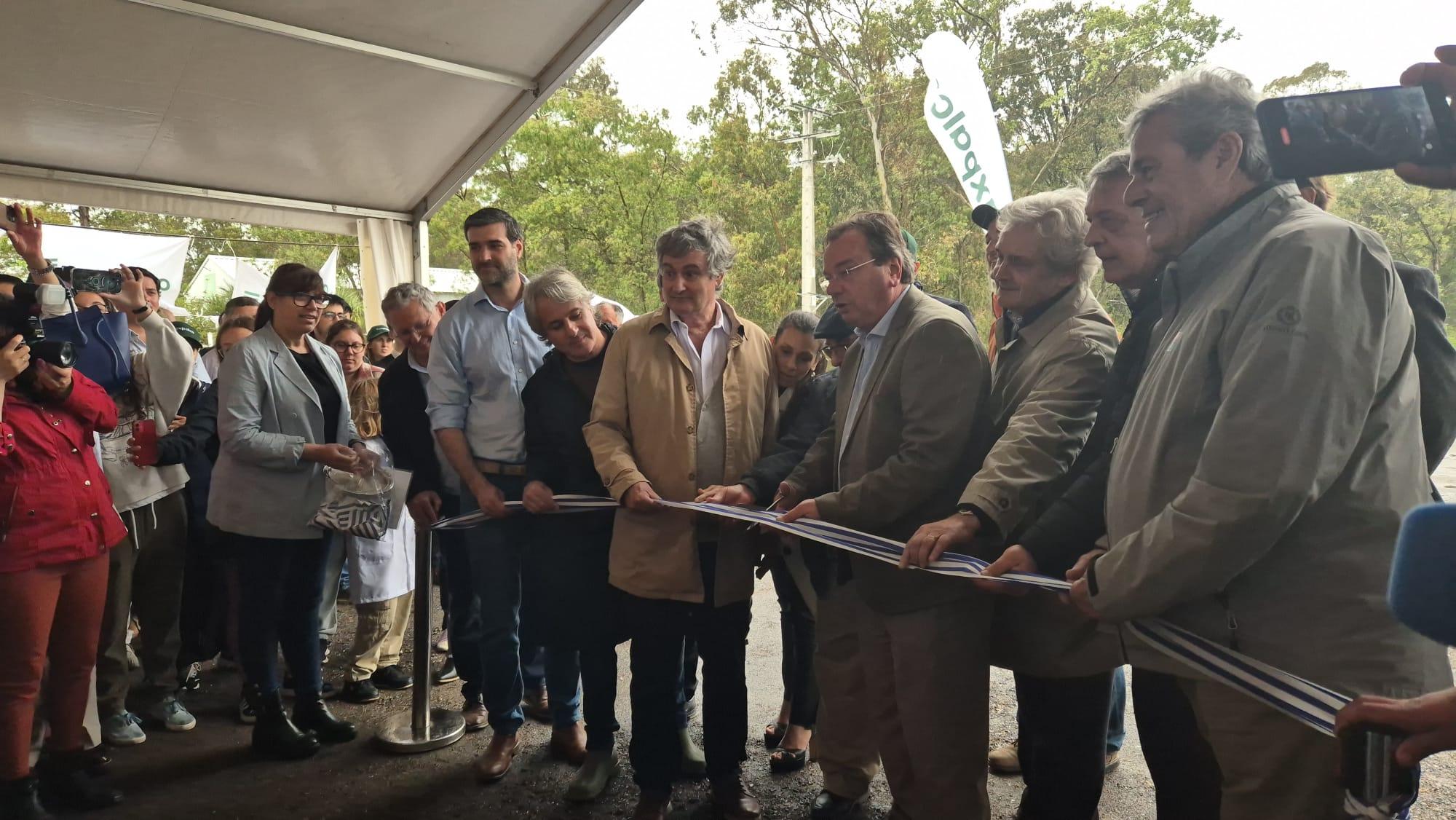 Imagen 2 de la galería