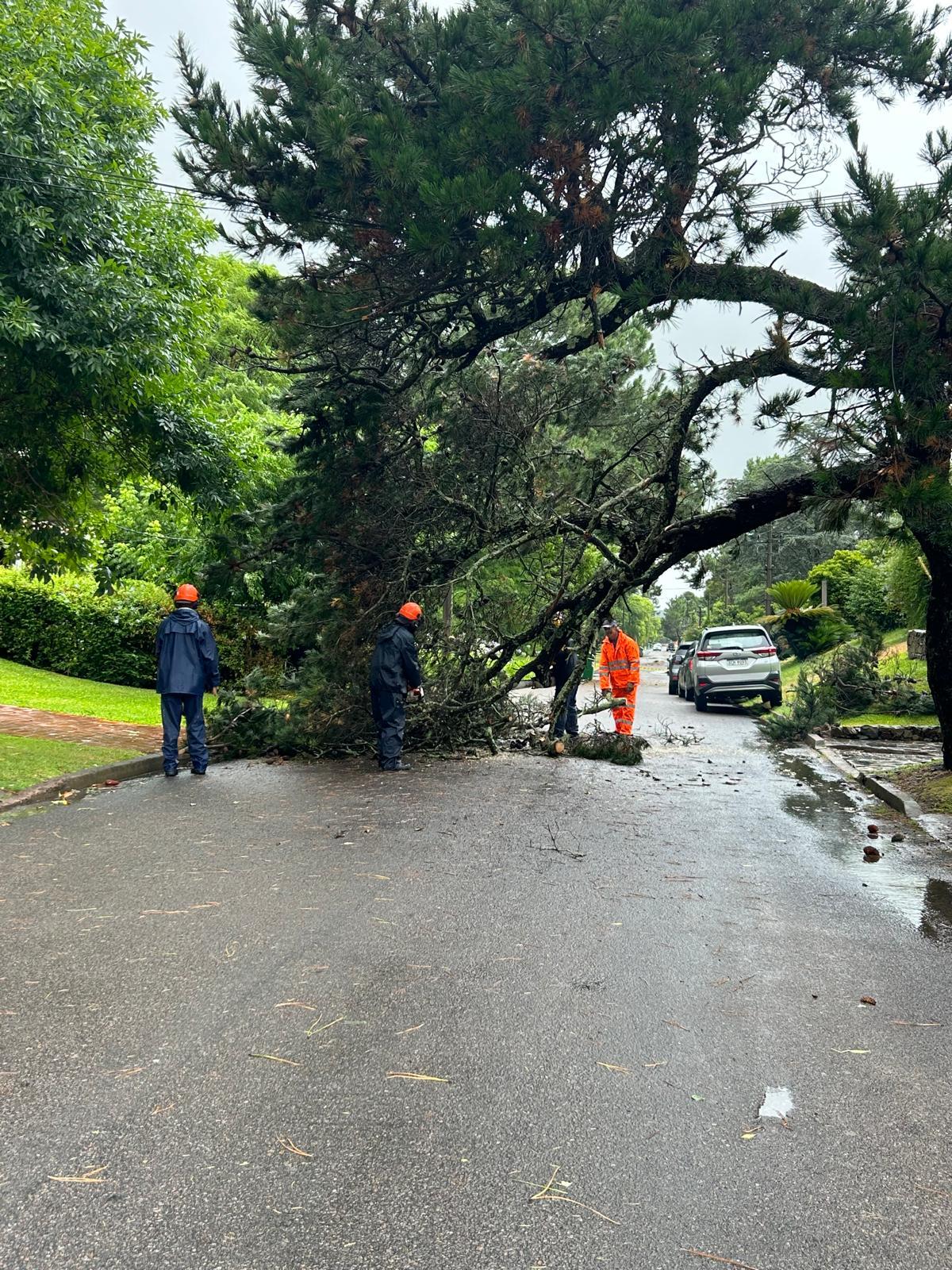 Imagen 2 de la galería