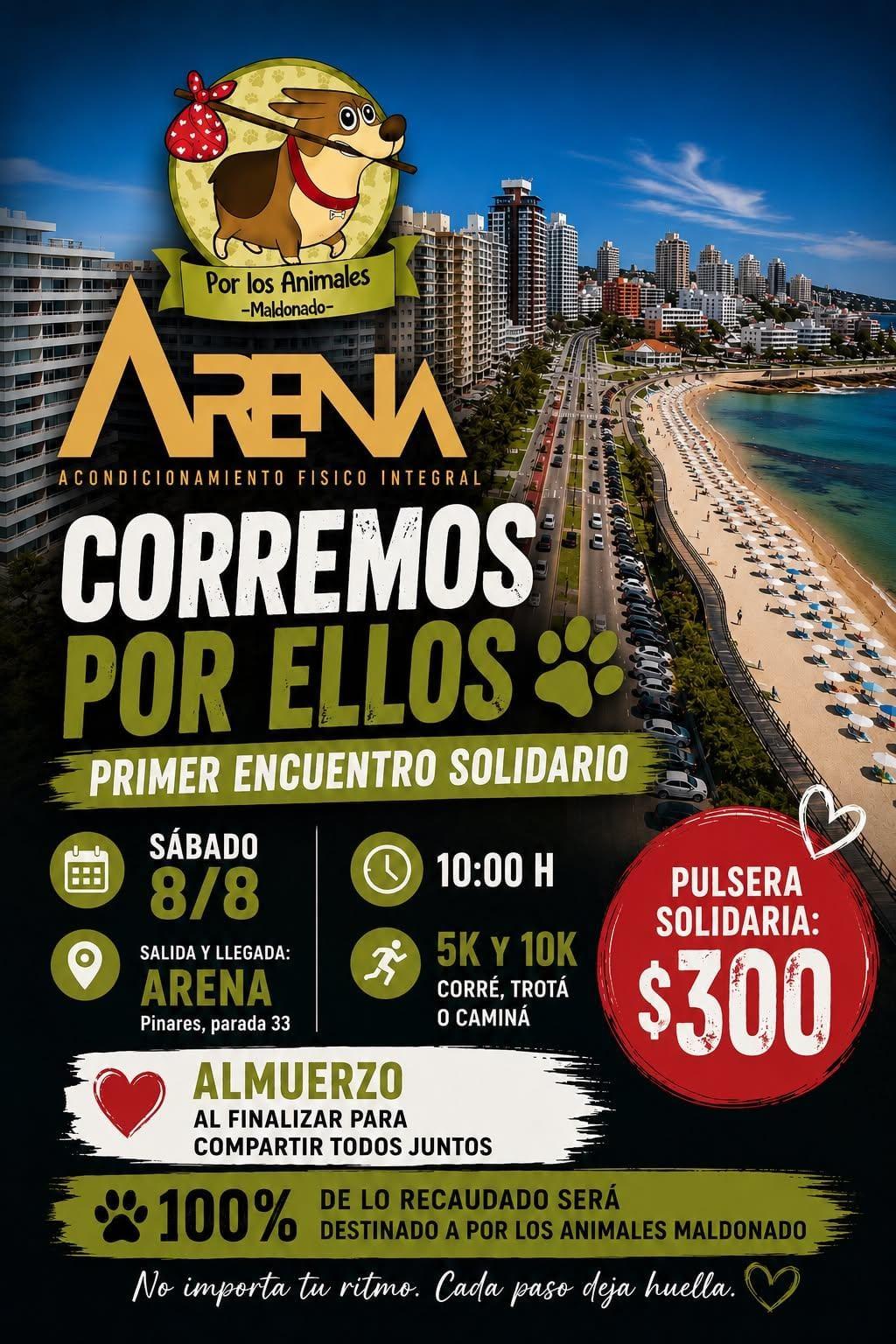 Imagen 1 de la galería