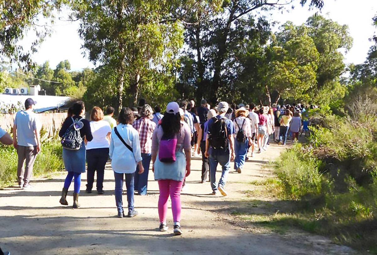 Imagen 4 de la galería