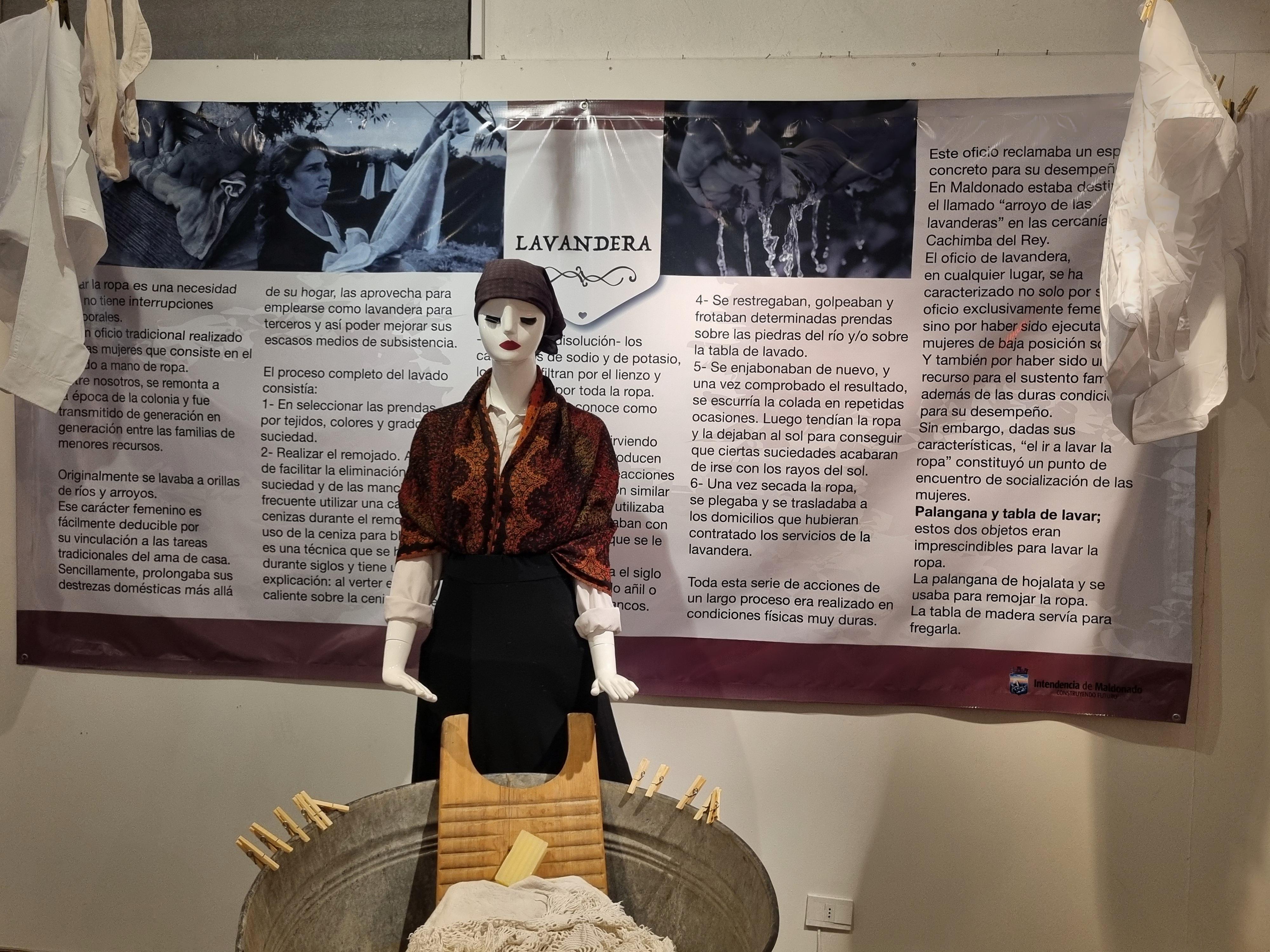 Imagen 5 de la galería