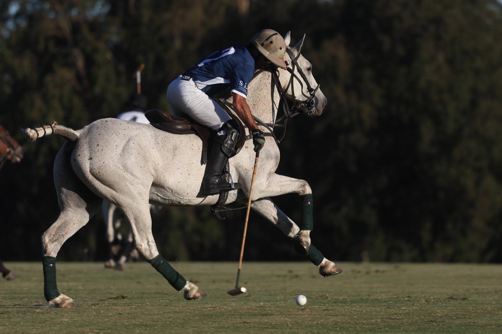 Imagen 3 de la galería