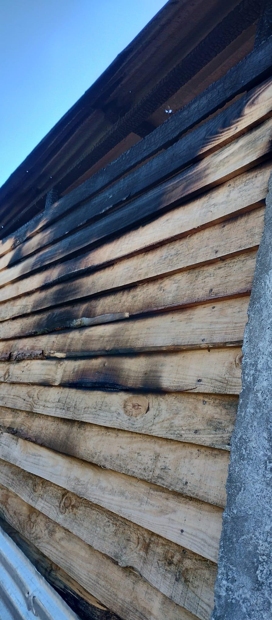 Imagen 2 de la galería