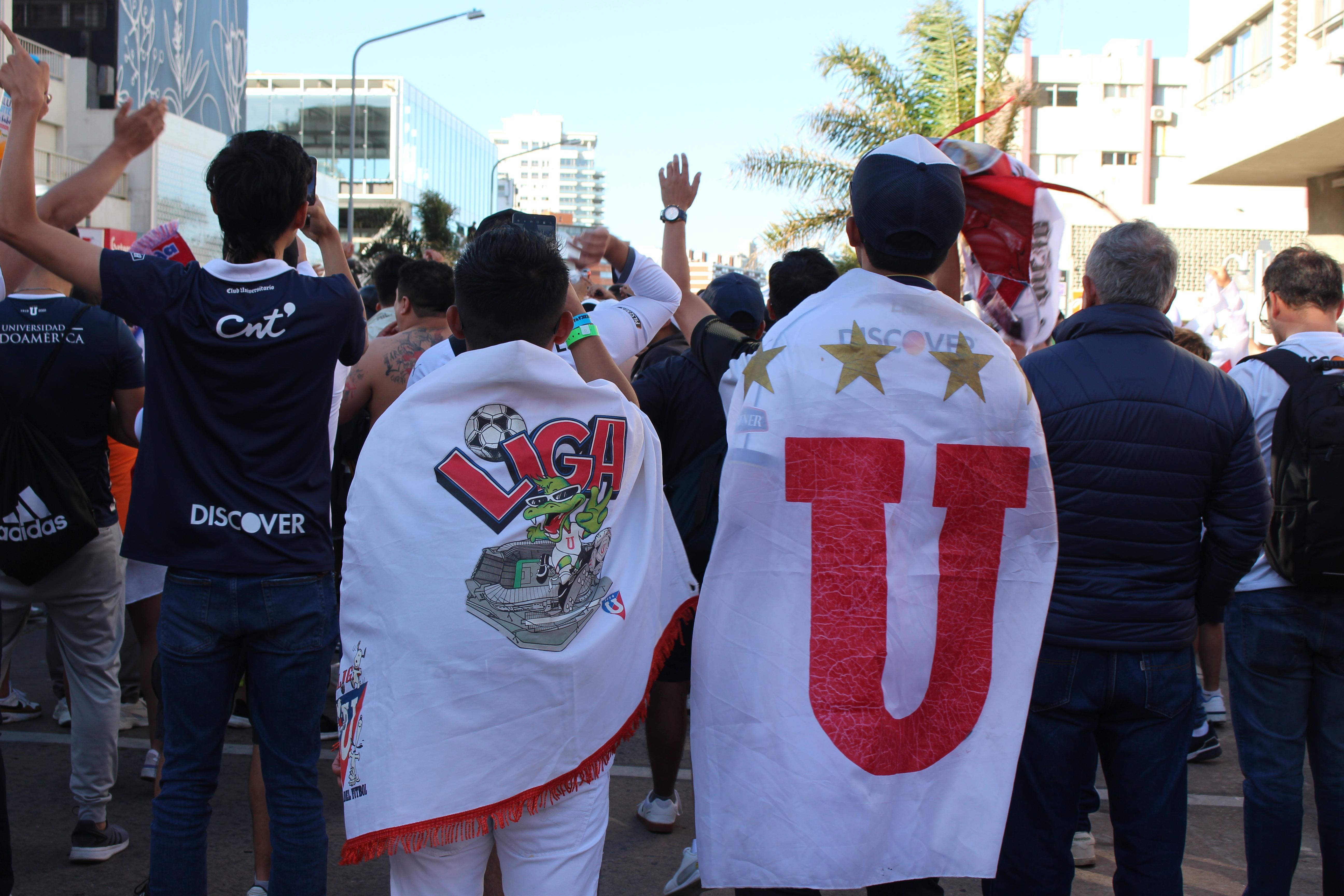 Imagen 2 de la galería