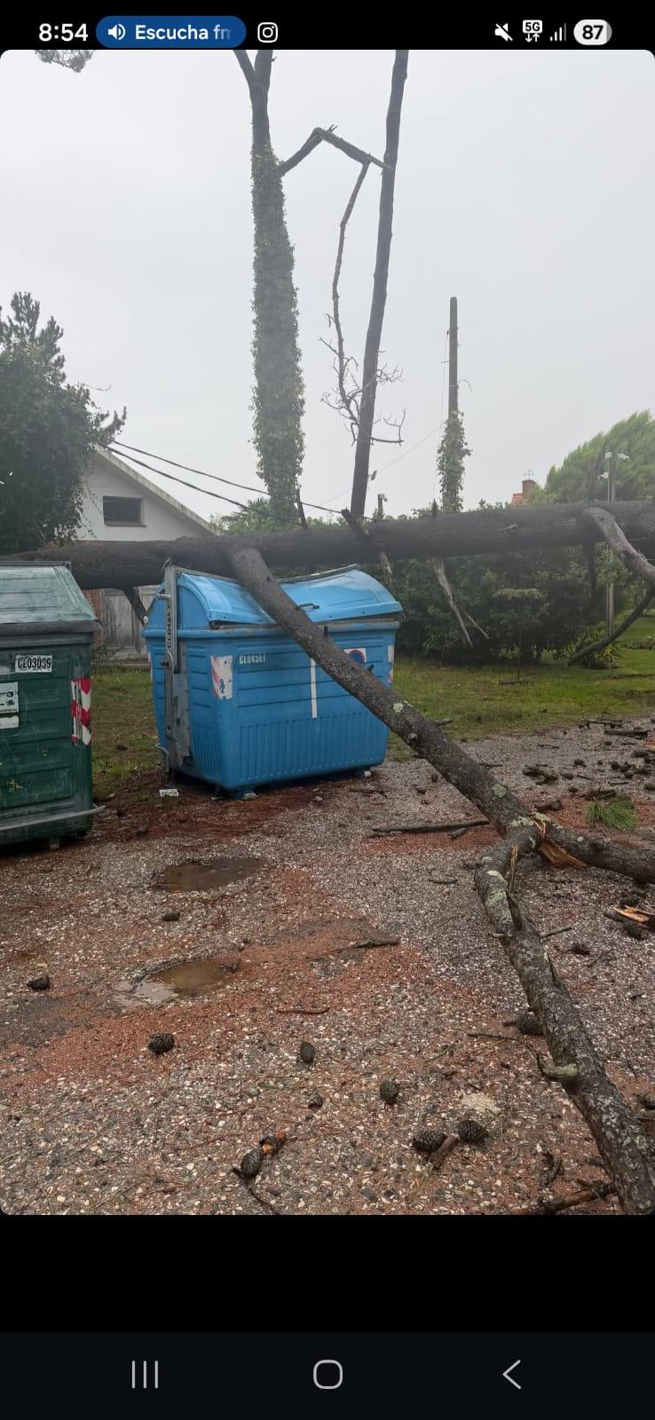 Imagen 6 de la galería