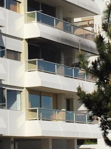 Imagen 2 de la galería