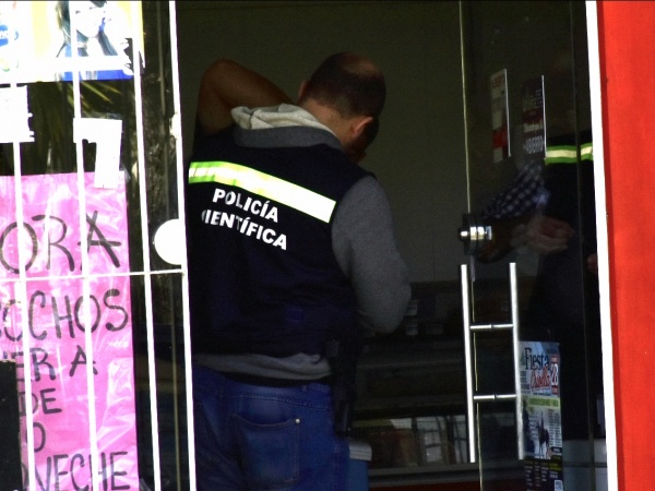 Imagen 3 de la galería