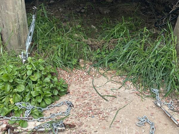 Imagen 2 de la galería