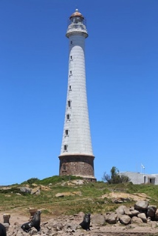 Imagen 4 de la galería