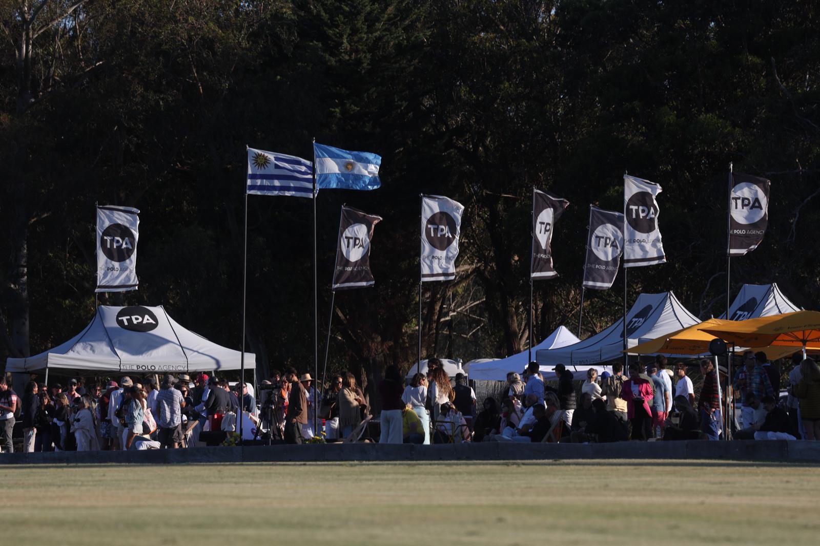 Imagen 4 de la galería