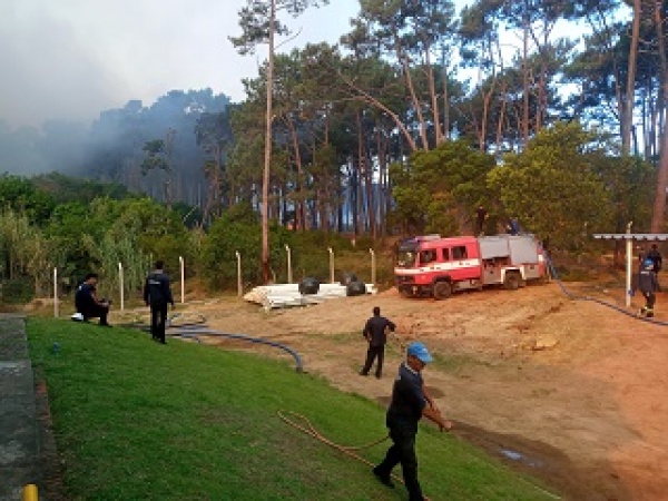 Imagen 2 de la galería