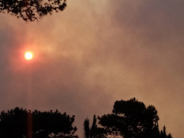 Imagen 3 de la galería