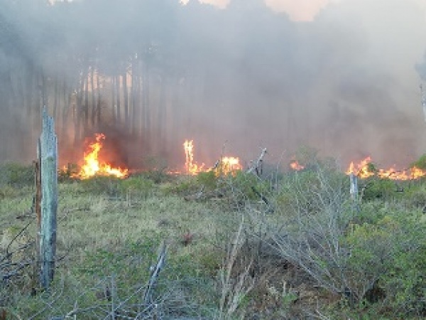 Imagen 4 de la galería