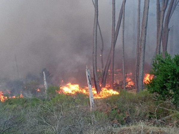 Imagen 5 de la galería