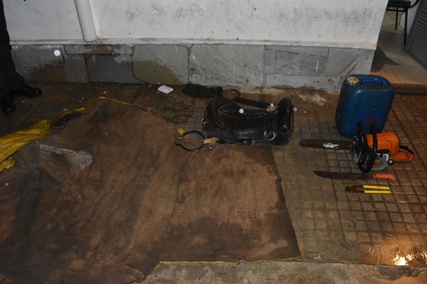 Imagen 4 de la galería