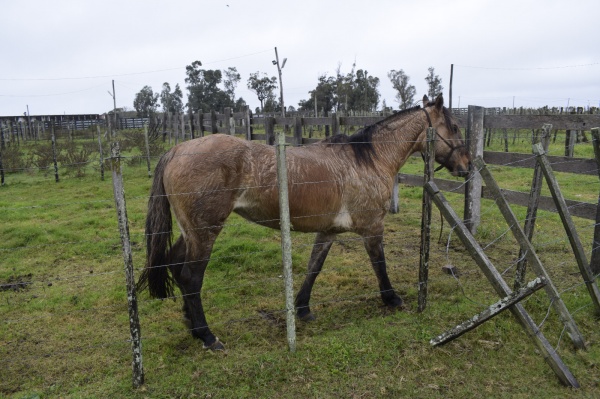 Imagen 5 de la galería