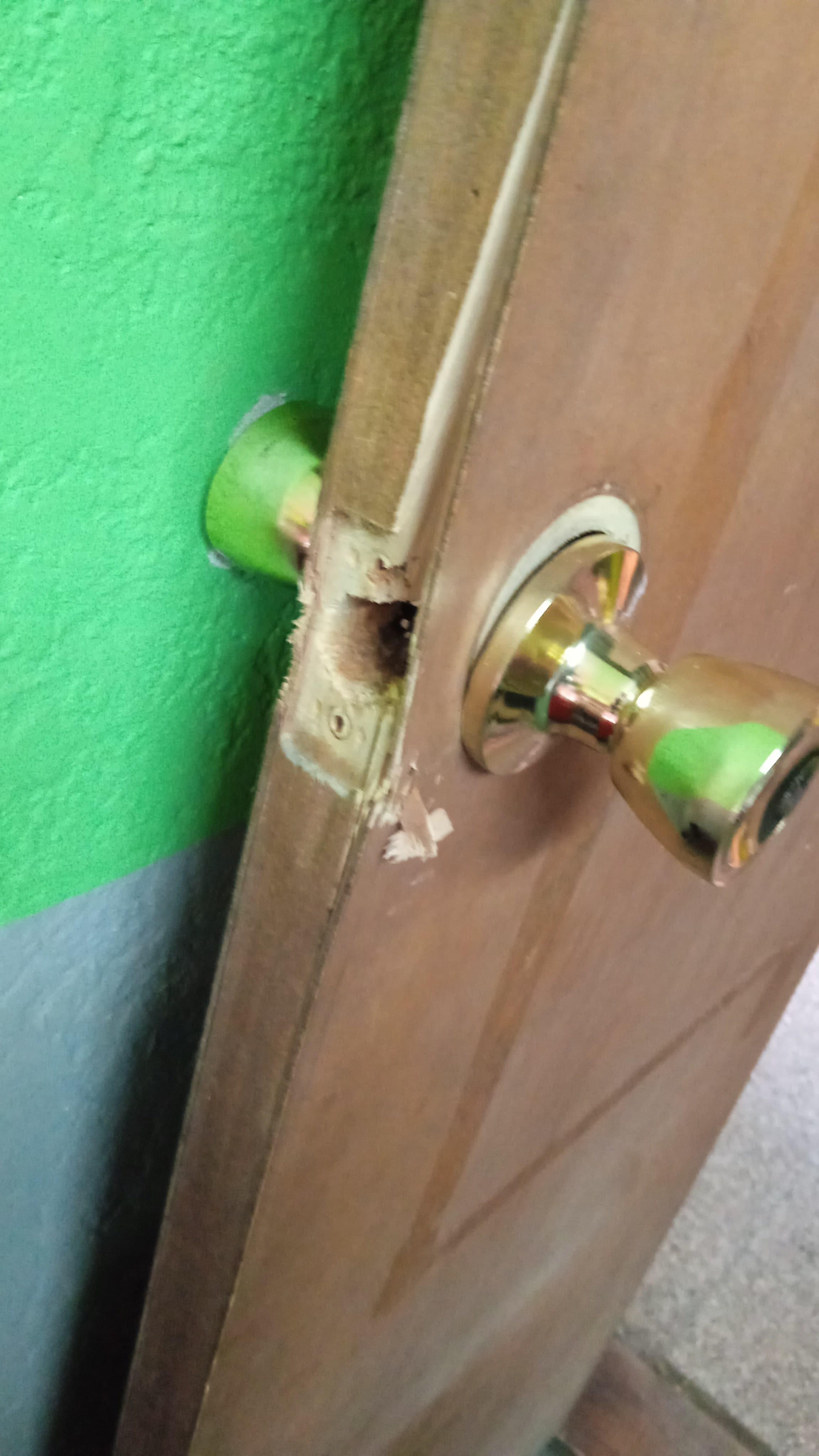 Imagen 3 de la galería