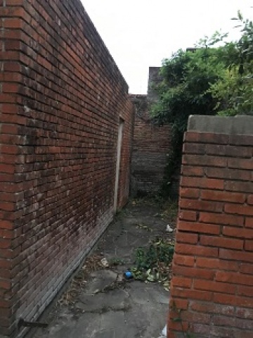 Imagen 2 de la galería