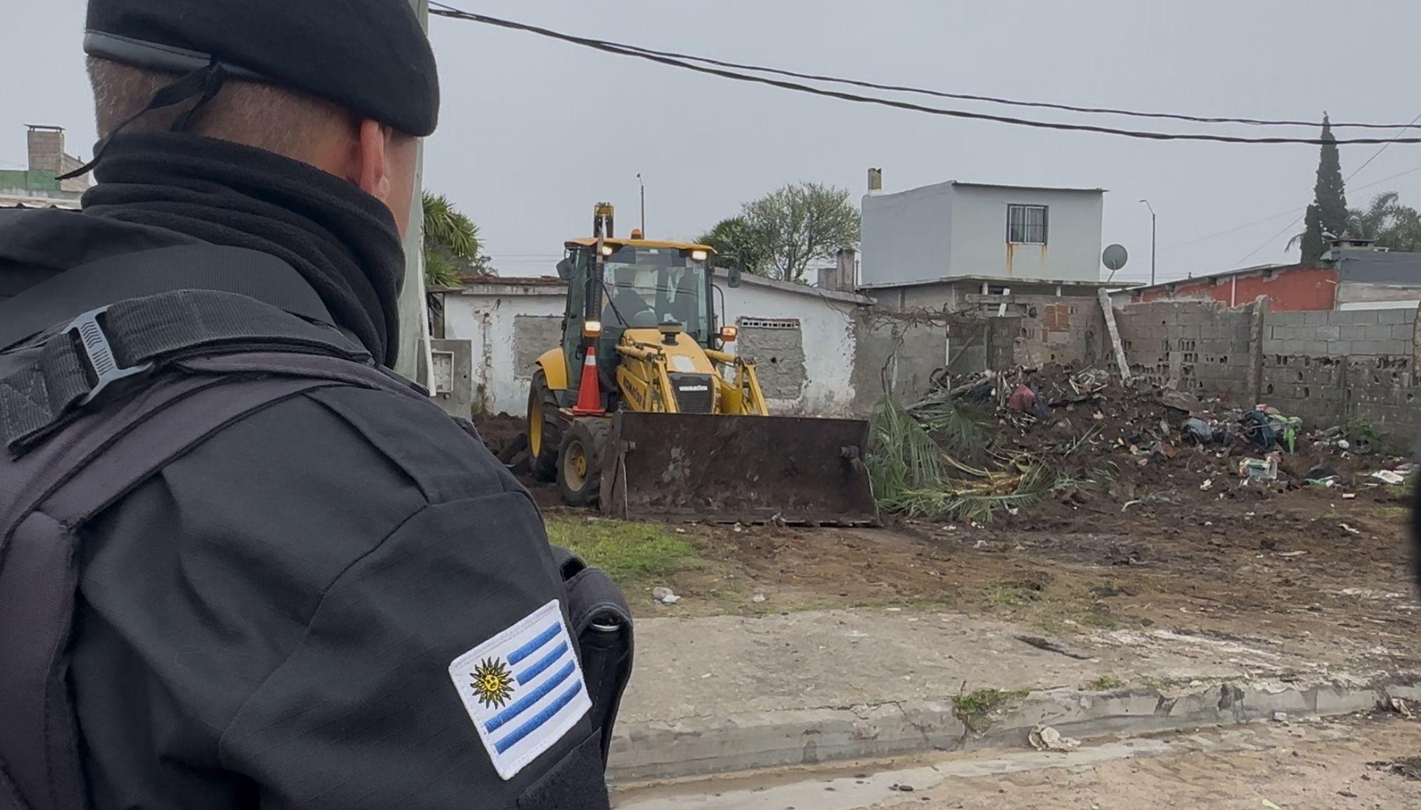 Imagen 2 de la galería