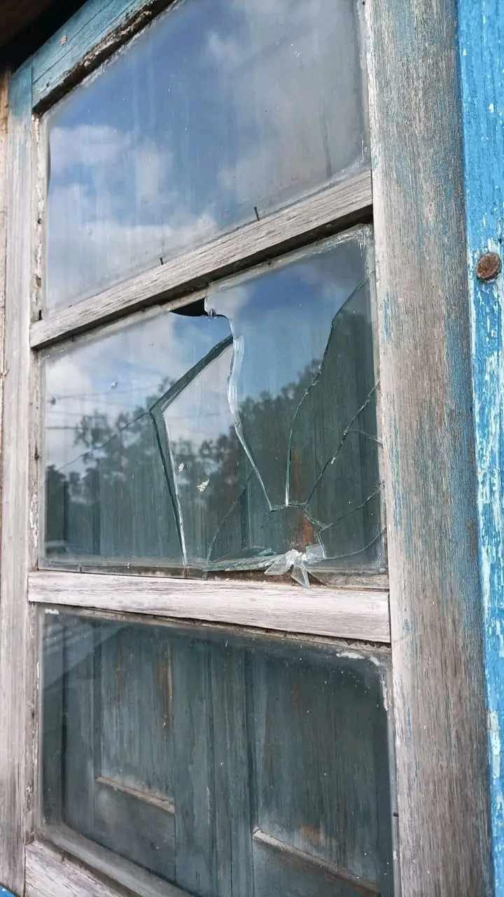 Imagen 3 de la galería