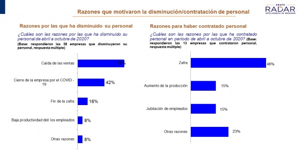 Imagen 9 de la galería