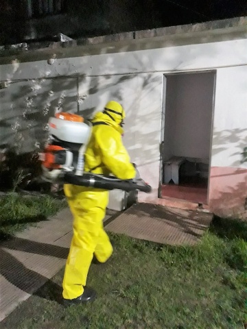 Imagen 2 de la galería