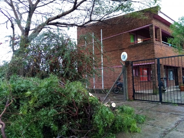 Imagen 5 de la galería